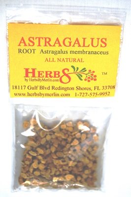 Astragalus Root (Astragalus membranaceus)